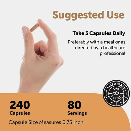 Nattokinase 10,000 FU Supplement – Vegetarian Capsules with CoQ10 & Turmeric for Daily Wellness
